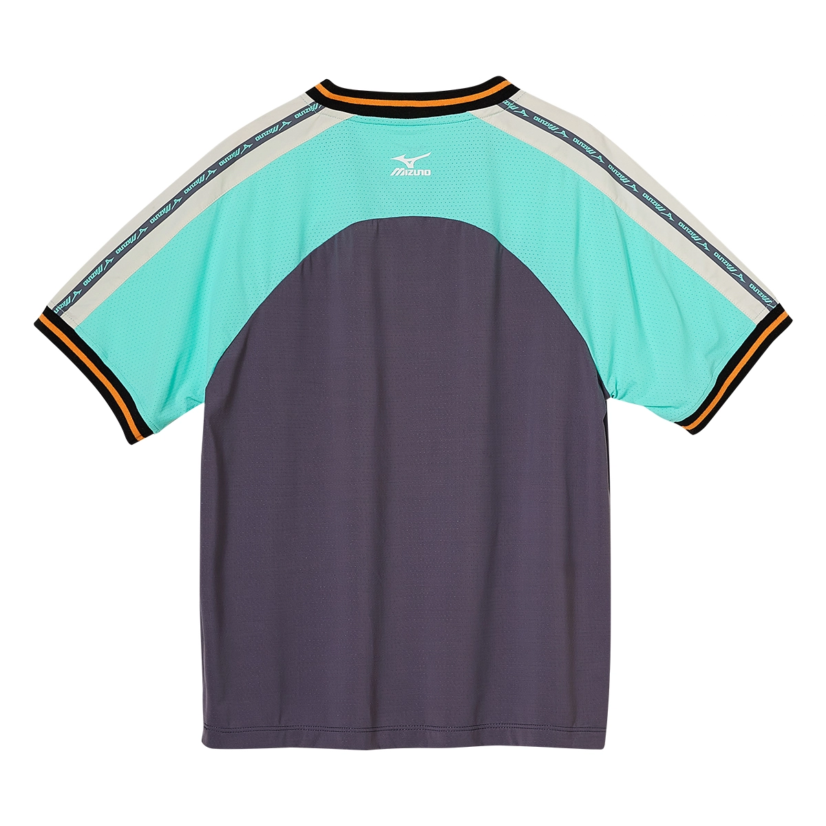 Mizuno T