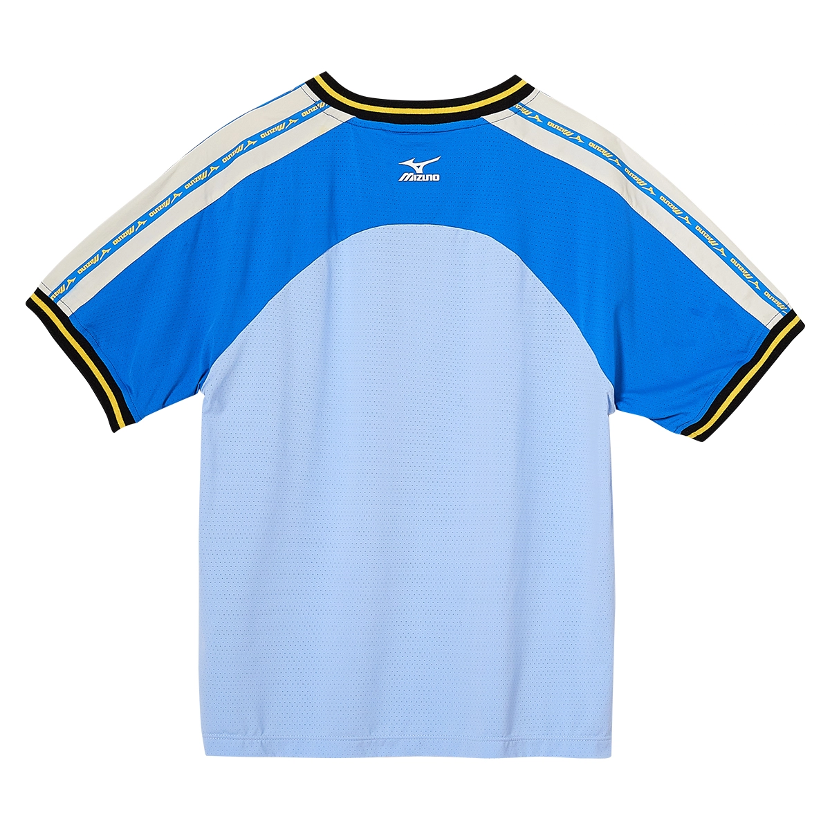 Mizuno T