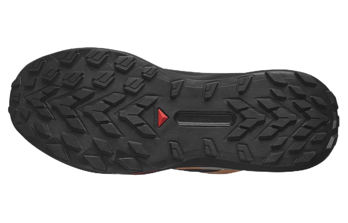 SALOMON Genesis