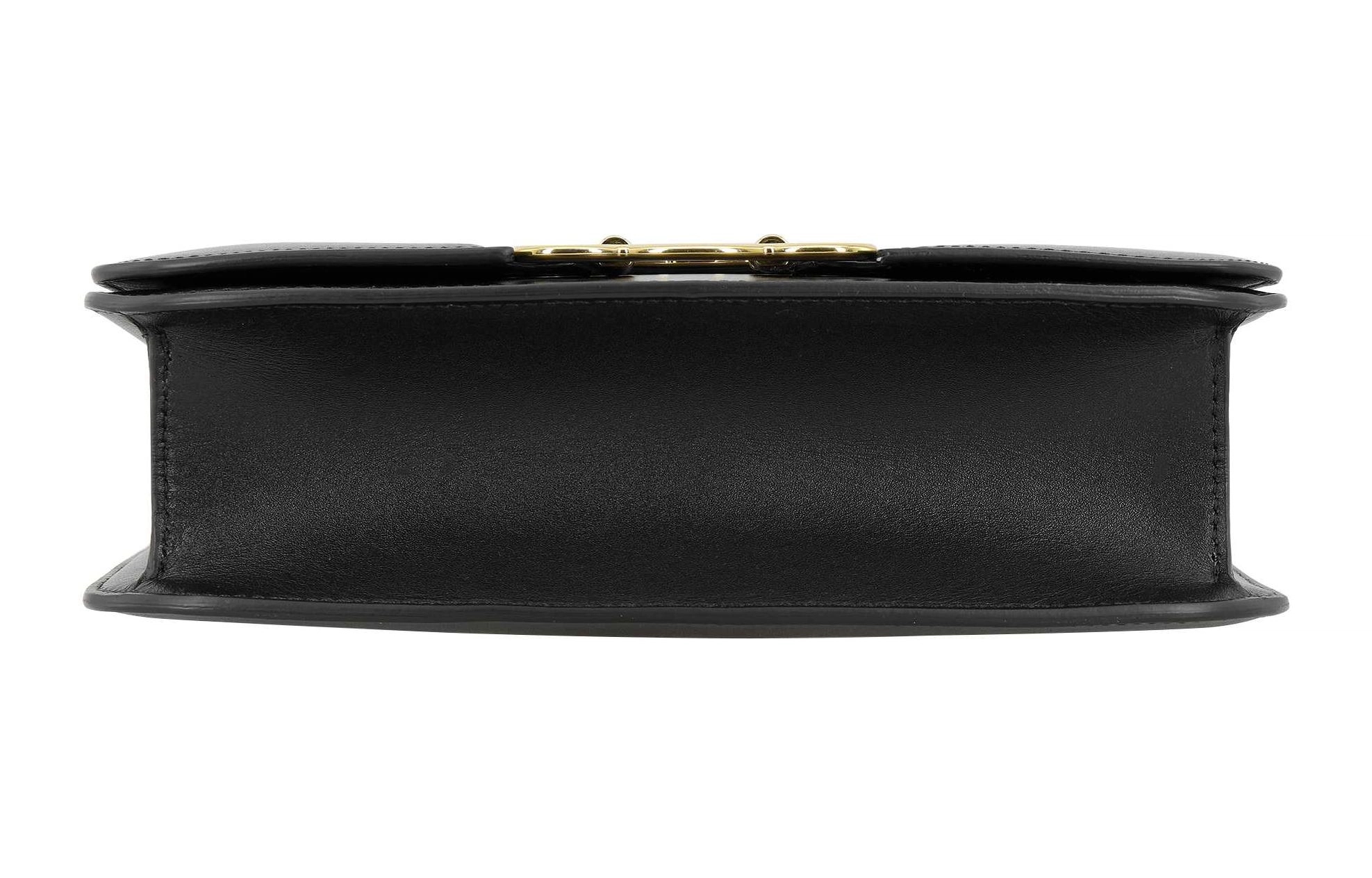 CELINE Triomphe Frame