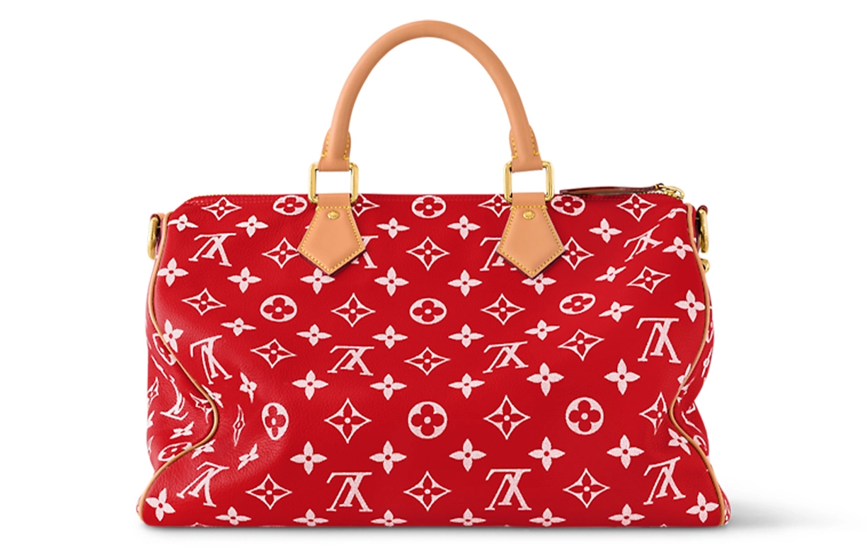 LOUIS VUITTON Speedy 40