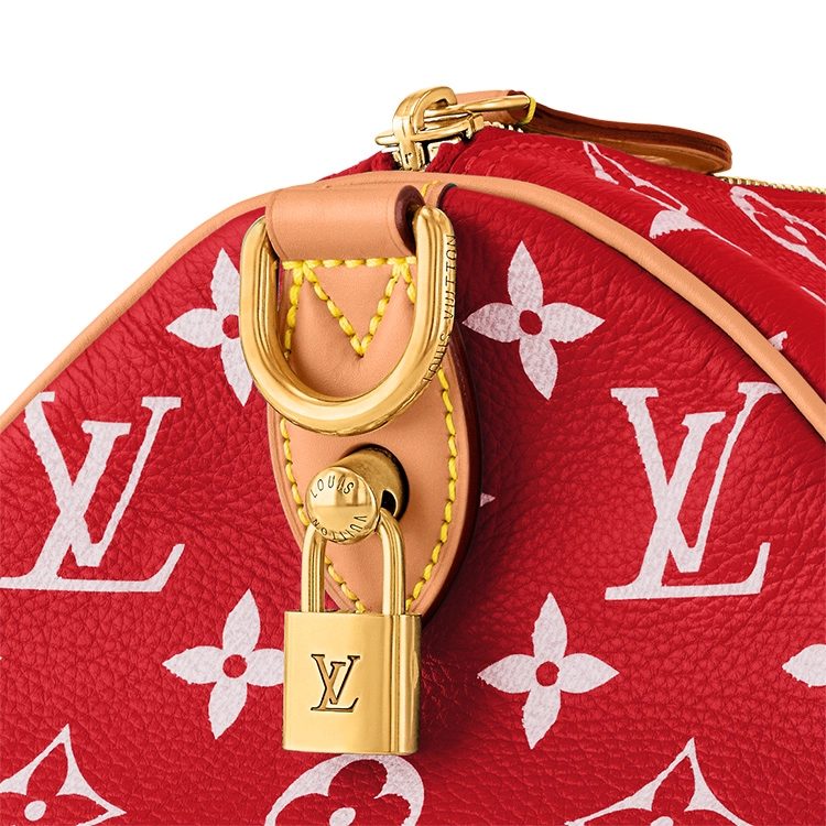LOUIS VUITTON Speedy 40