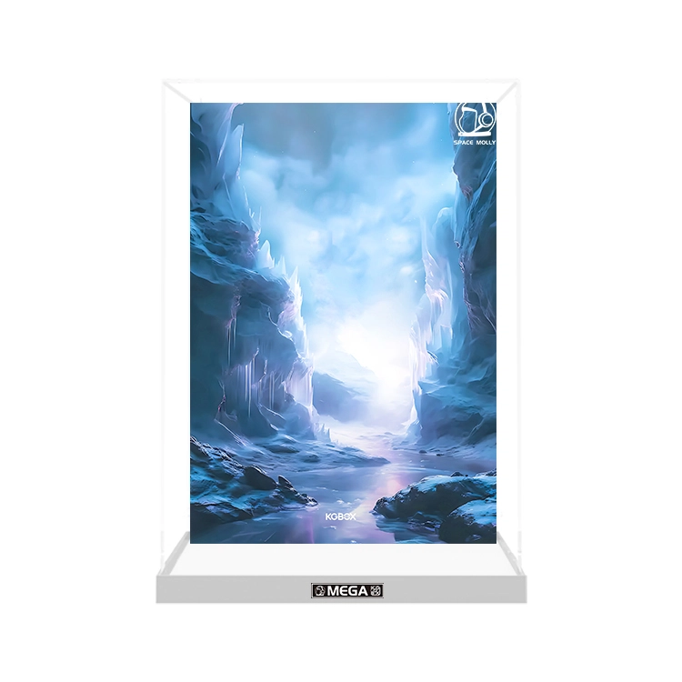KGBOX MOLLY4001000