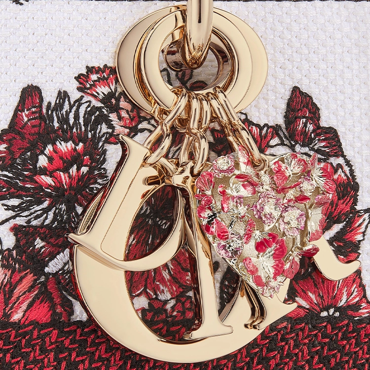 DIOR Lady D-Lite Le Cur des Papillons