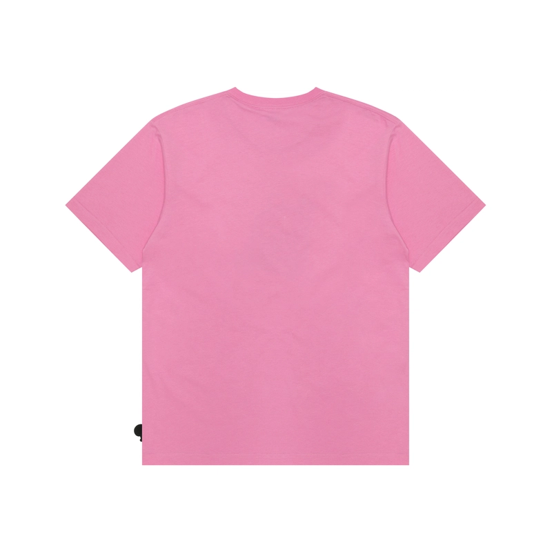 Aape T
