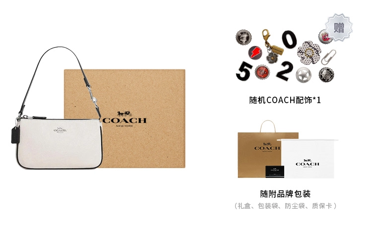 COACH Nolita 19