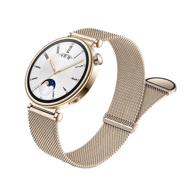 biaodaige GT43watch4gt2Promagic