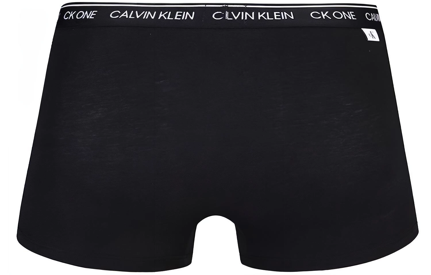 CKCalvin Klein Logo 1