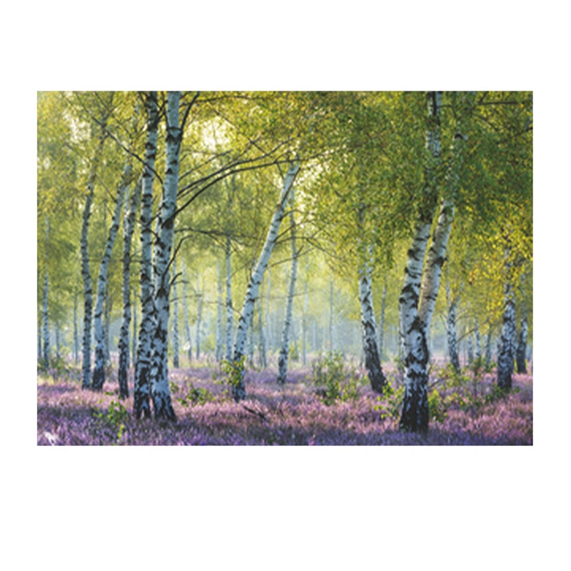 Ravensburger 1000pcs 16753