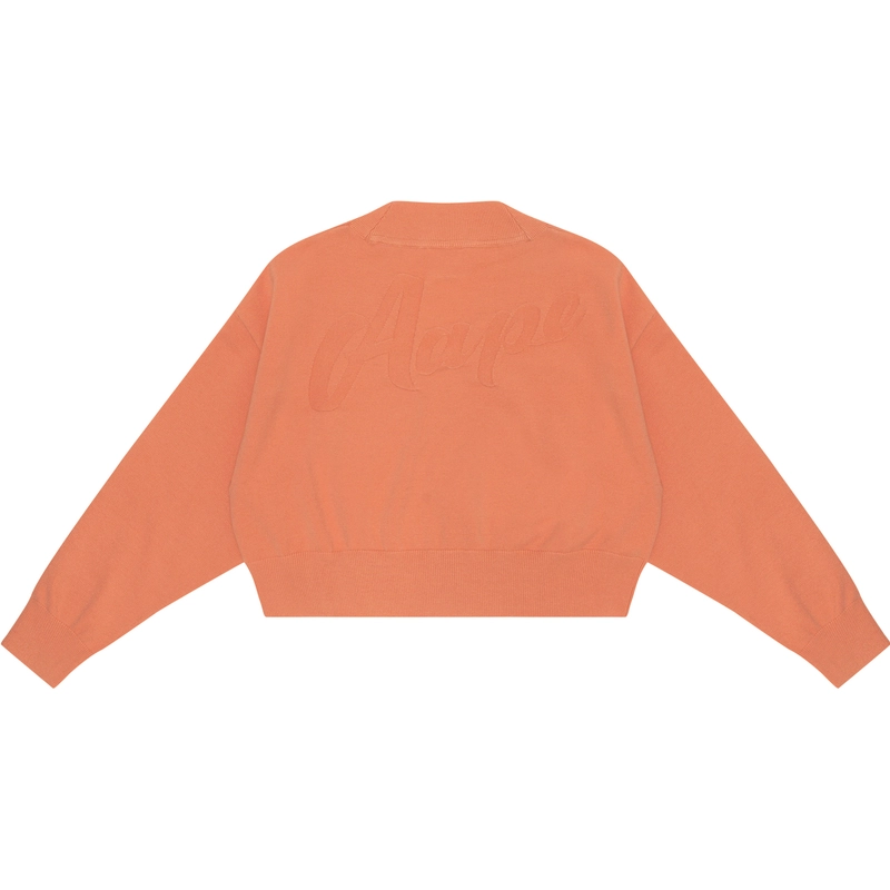 Aape V