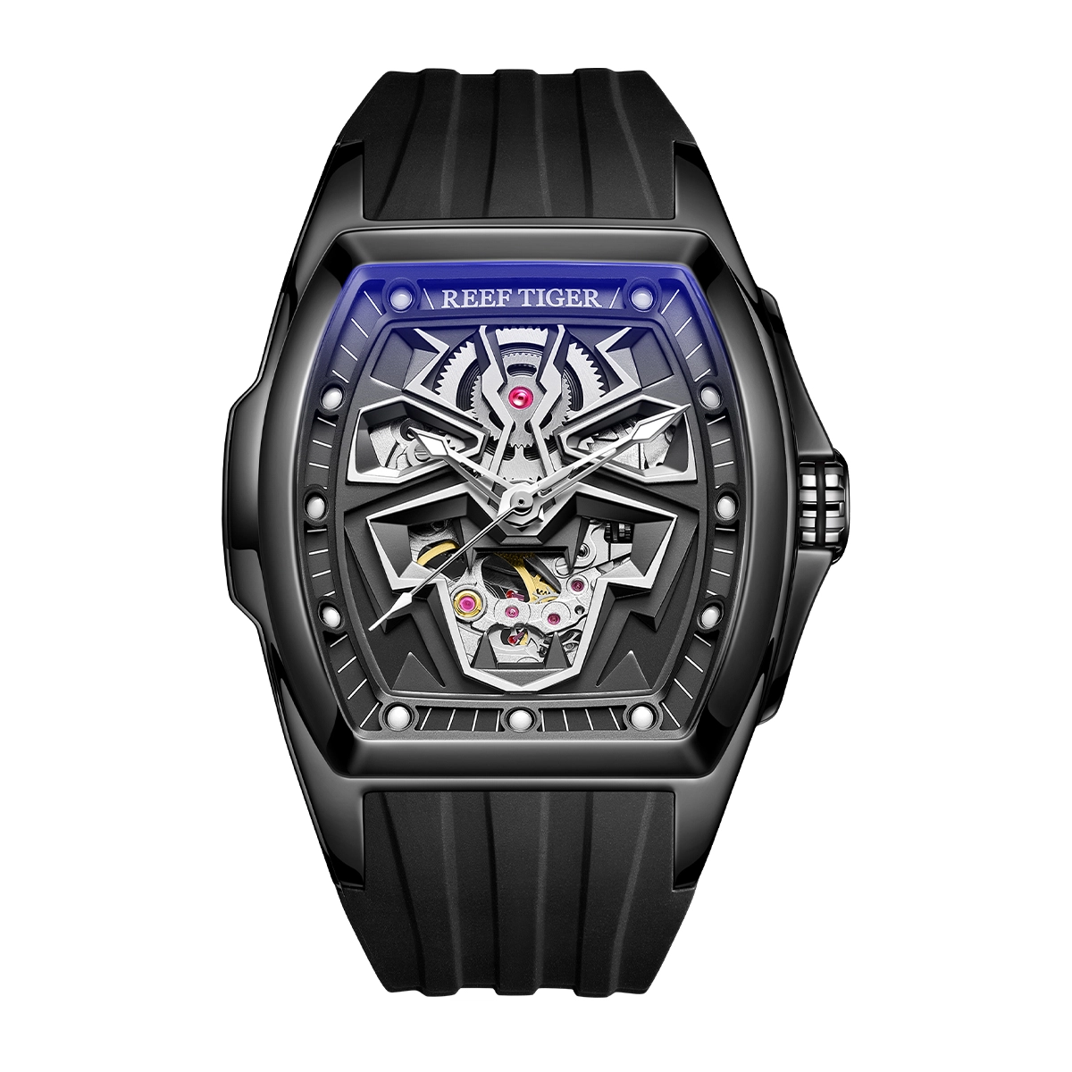 REEF TIGER RGA3061