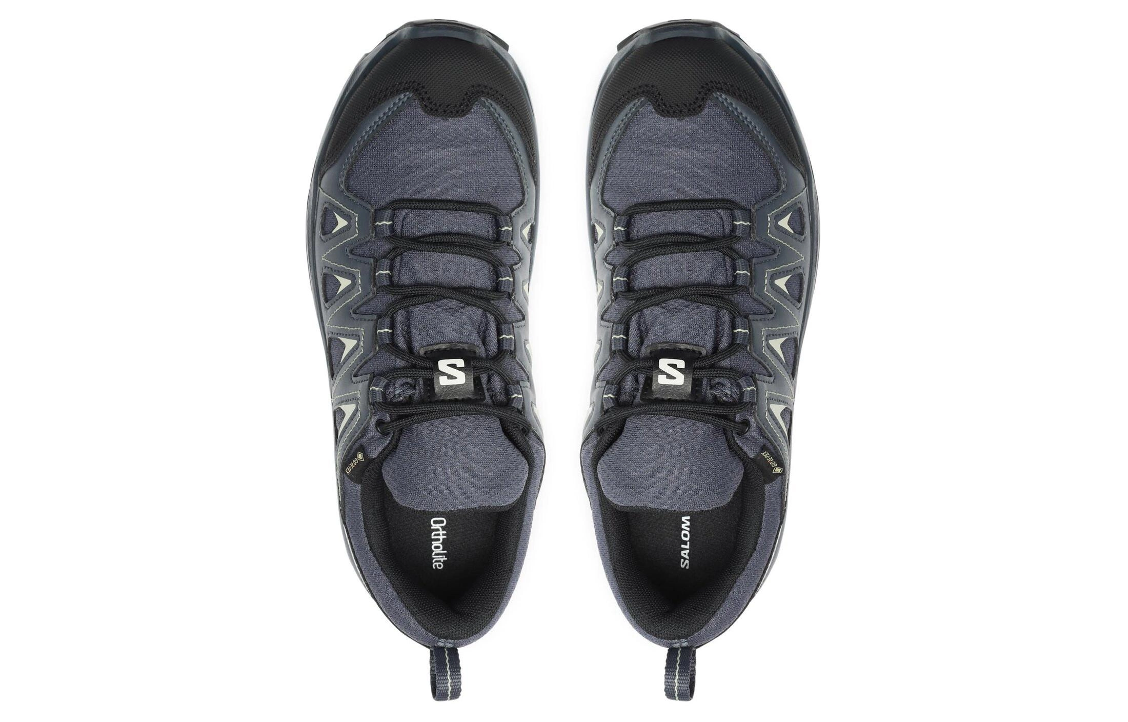 SALOMON X Braze GTX