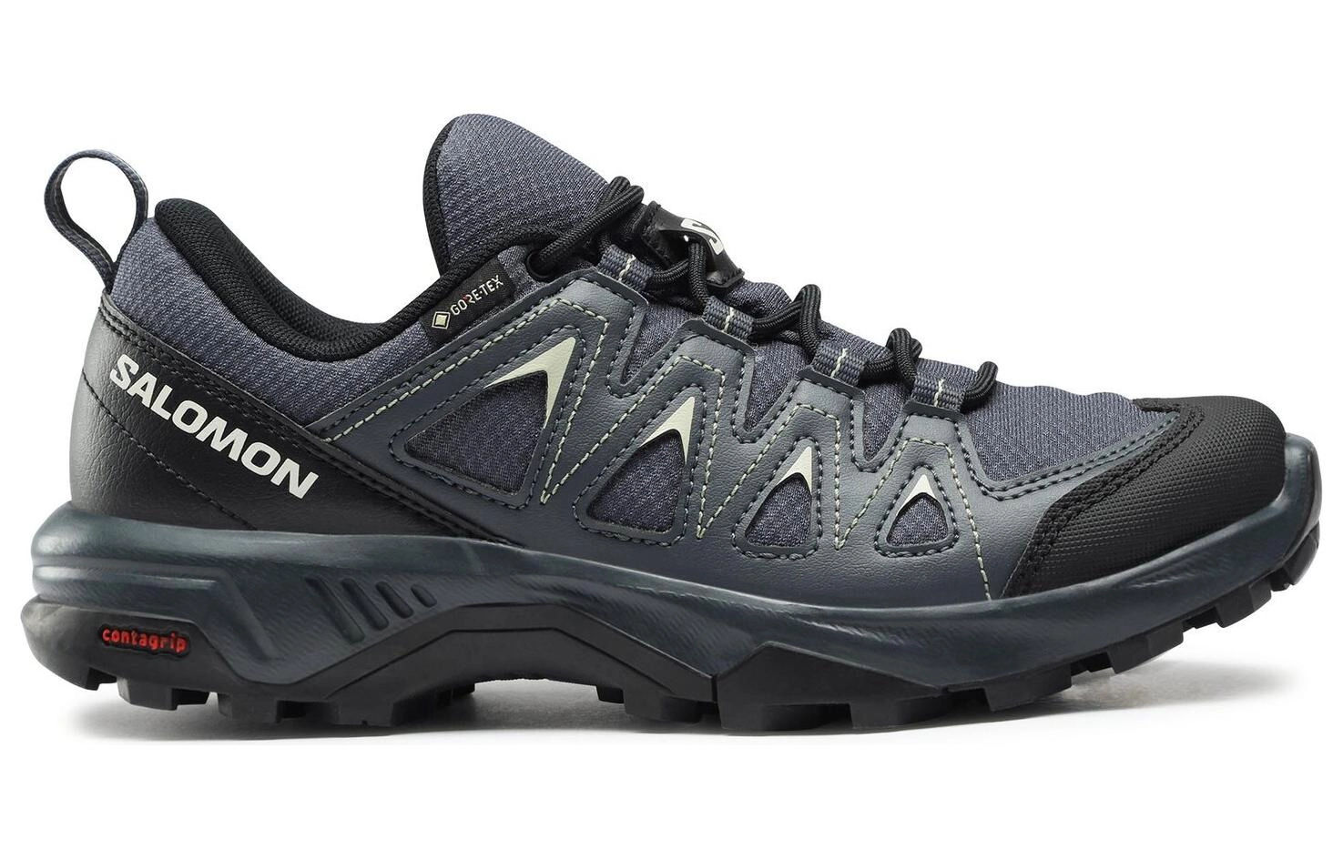 SALOMON X Braze GTX