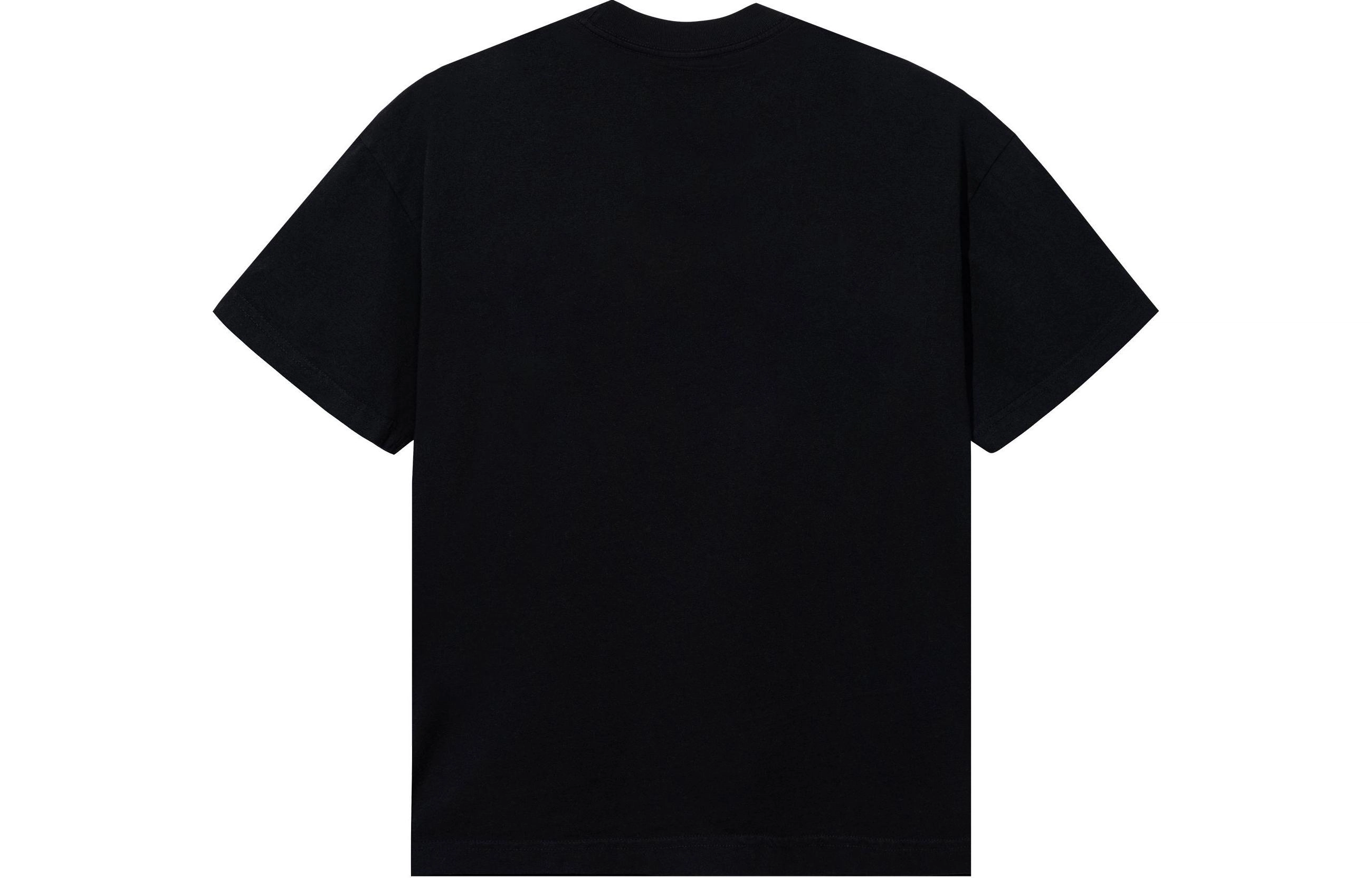 Revenge T
