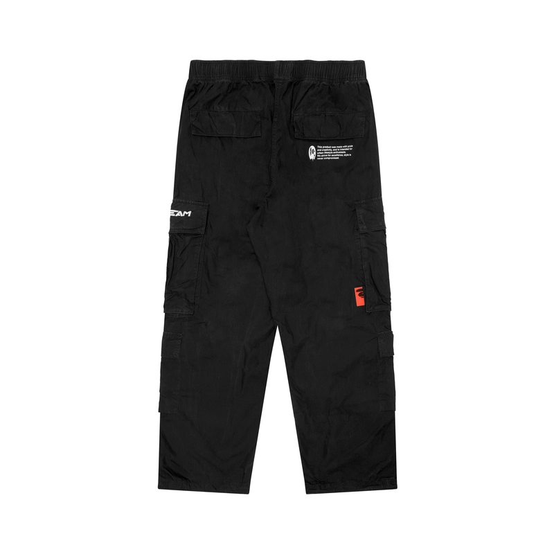 Aape