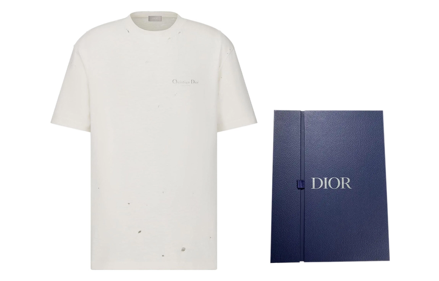 DIOR FW23 LogoT