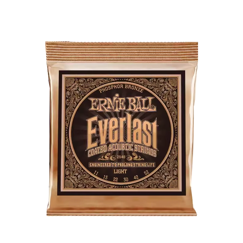 ERNIE BALL (EB) Everlast(