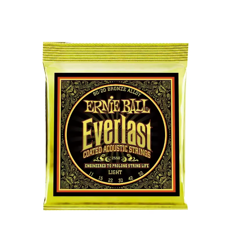 ERNIE BALL (EB) Everlast(