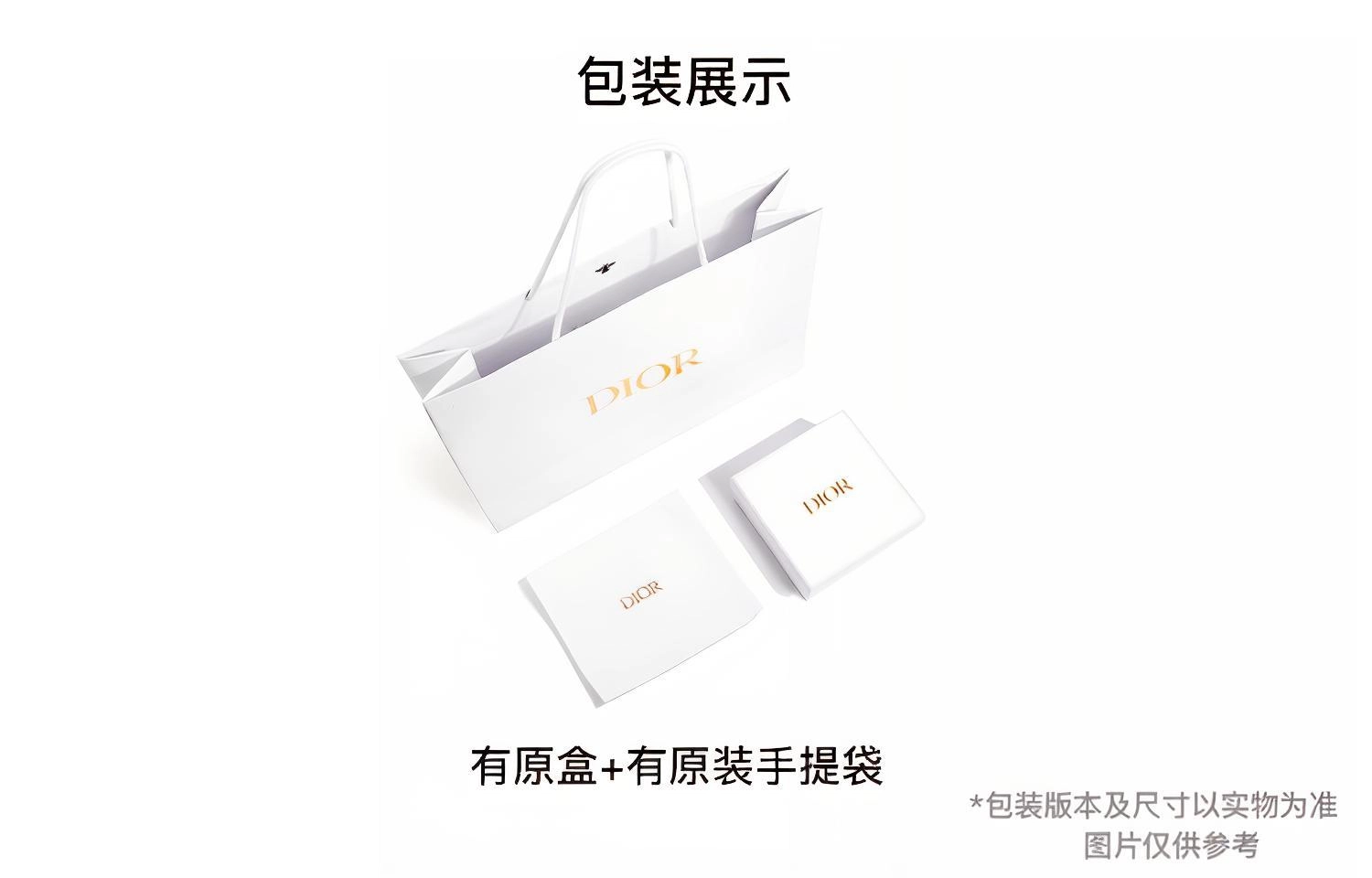 DIOR Saddle