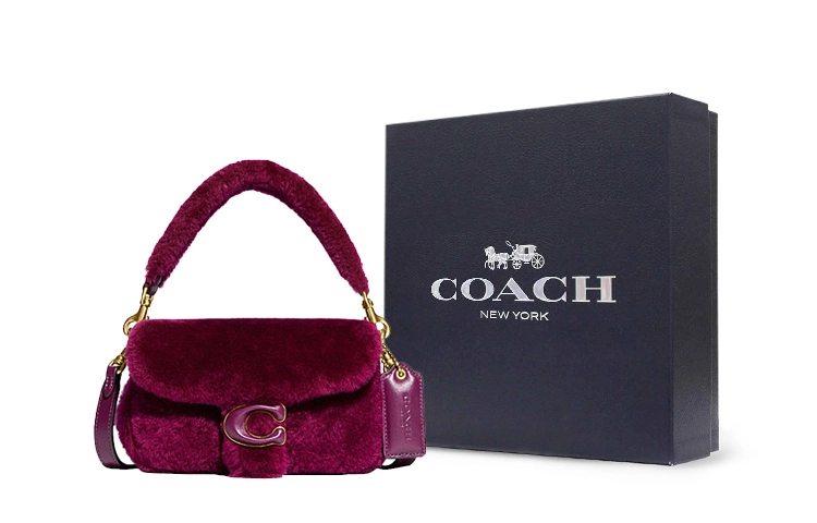 COACH Pillow 18