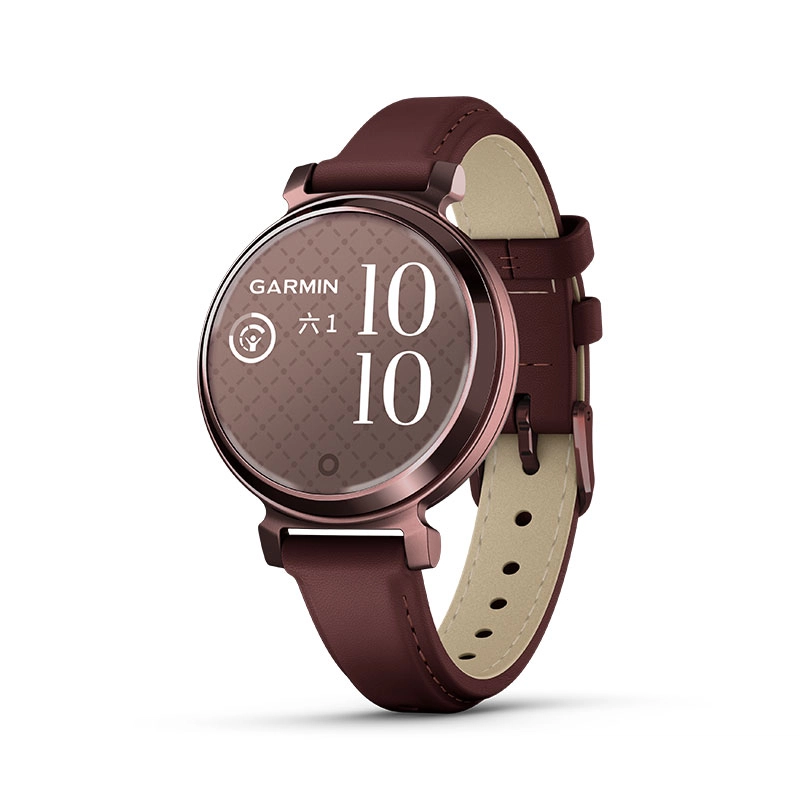 GARMIN app Lily2 010-02839-43