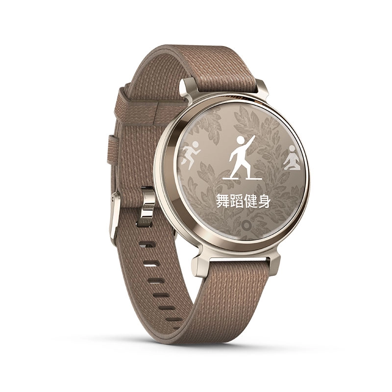 GARMIN app Lily2 010-02839-43