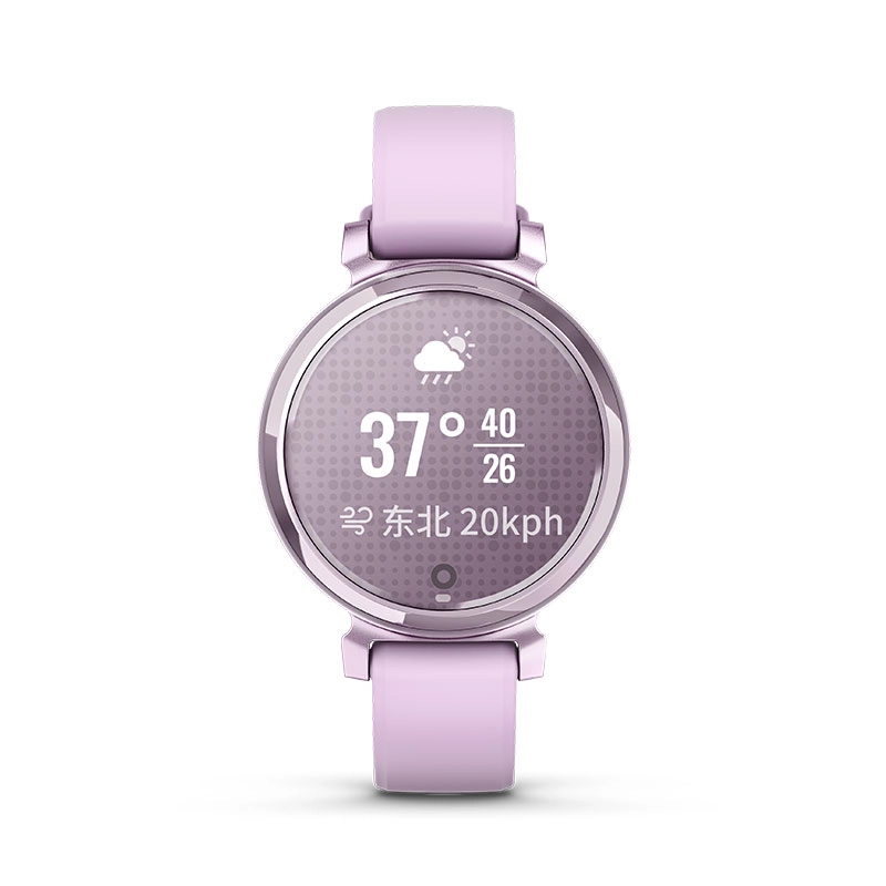 GARMIN app Lily2 010-02839-43