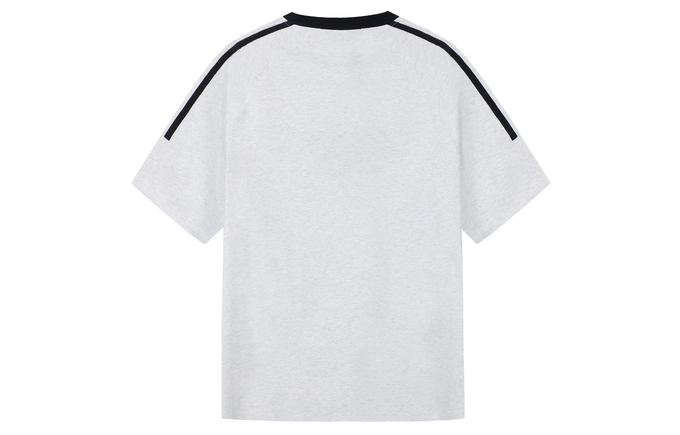 ICONS Lab T