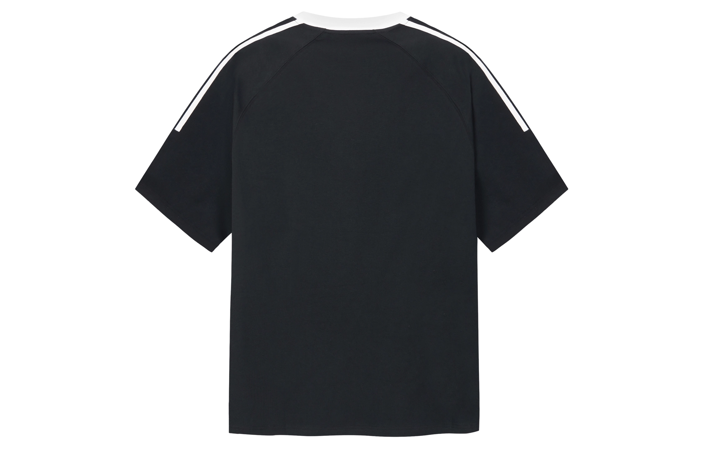 ICONS Lab T