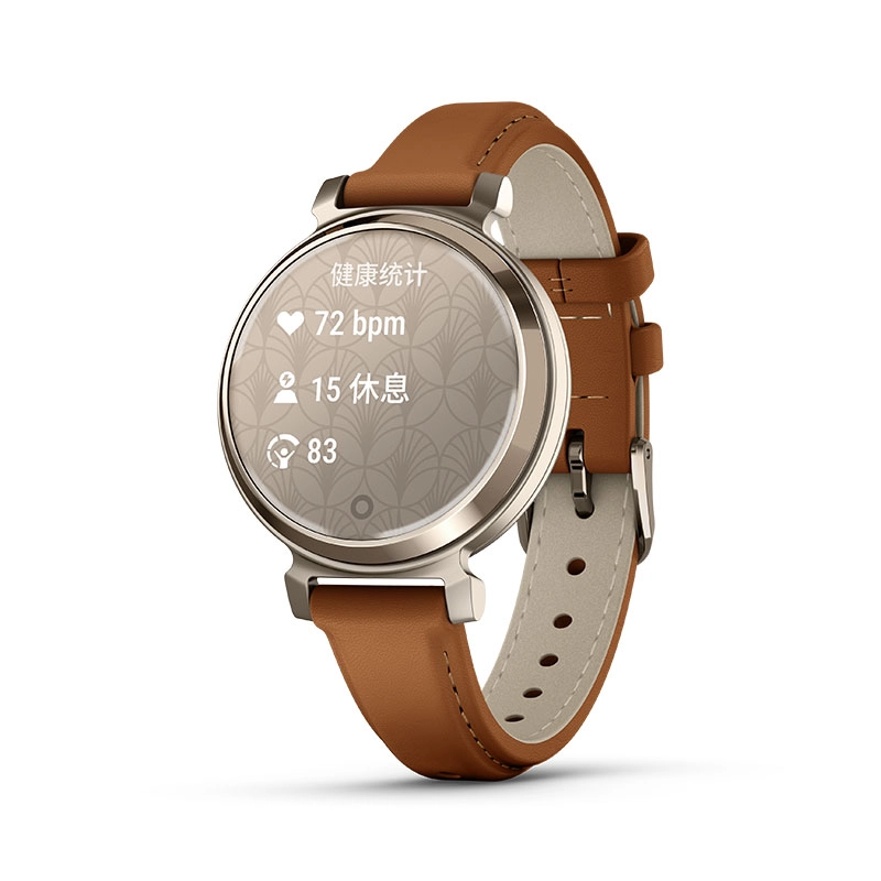 GARMIN app Lily2 010-02839-43