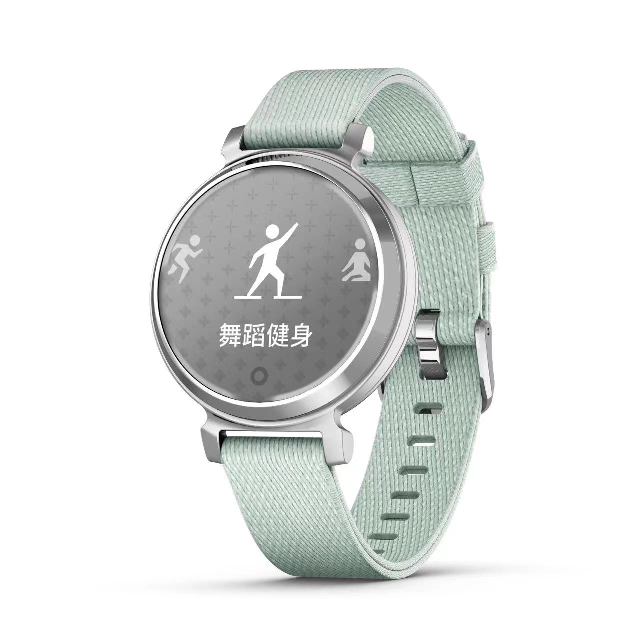 GARMIN app Lily2 010-02839-43