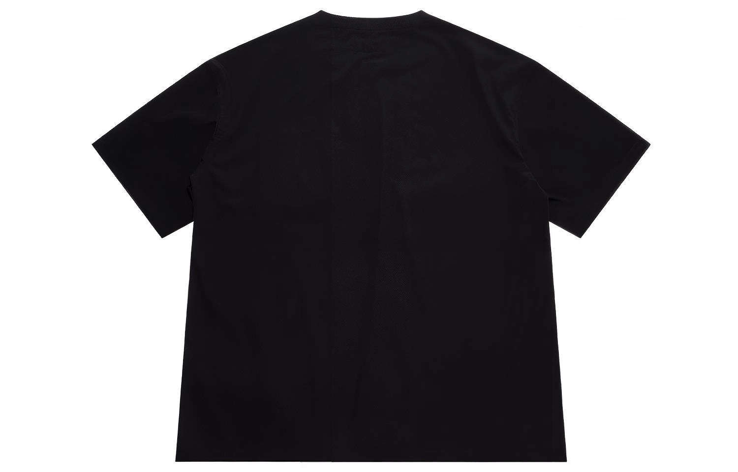 Dickies SS22 T