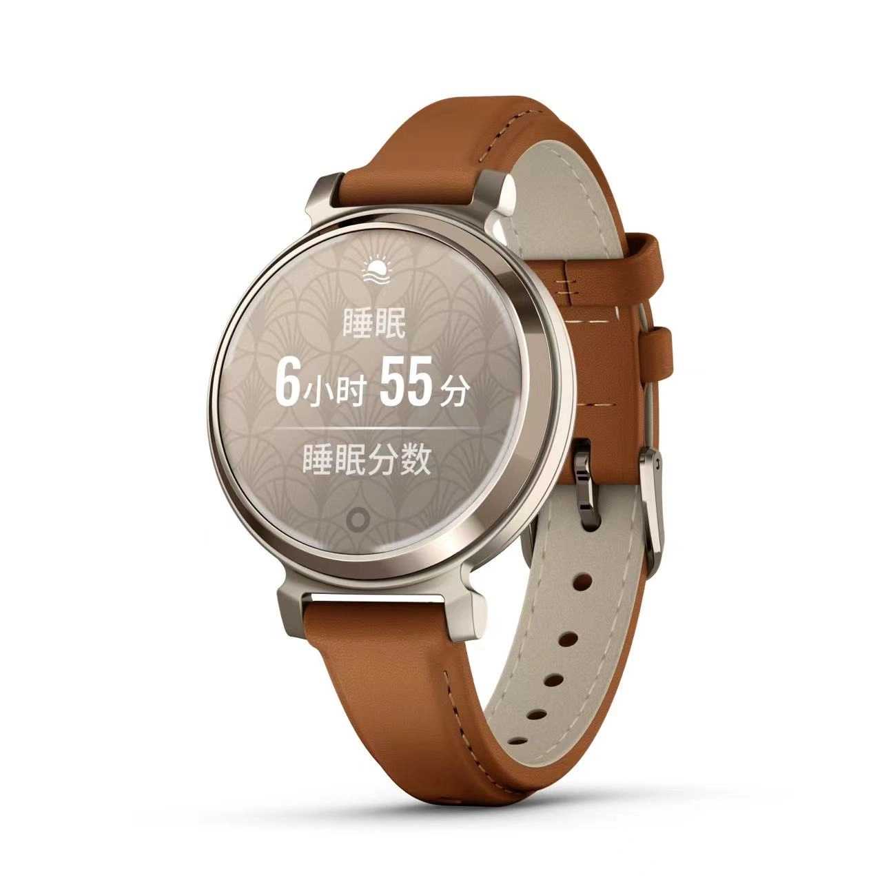 GARMIN app Lily2 010-02839-43
