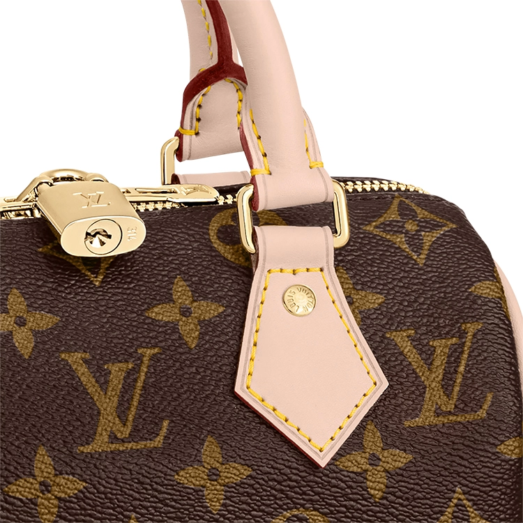 LOUIS VUITTON Speedy 20