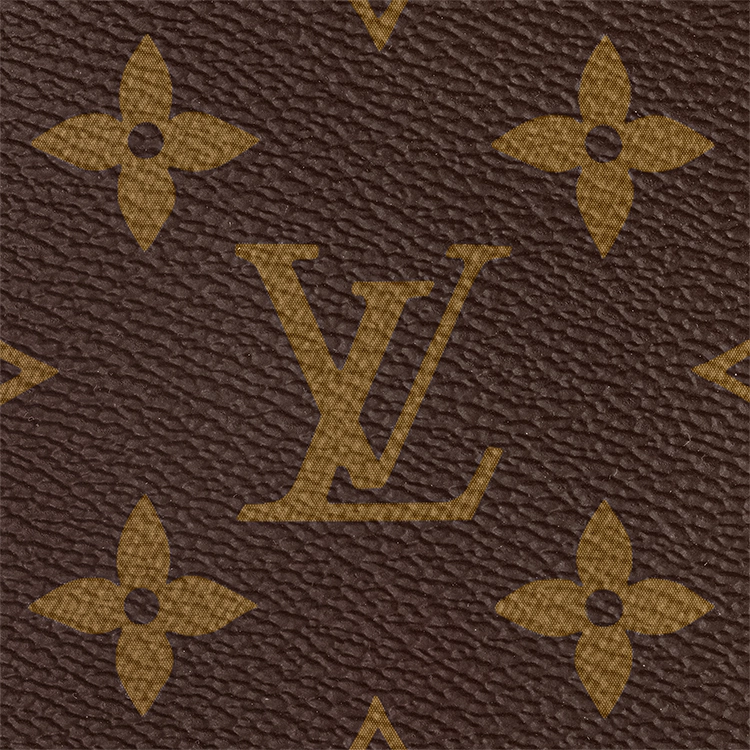 LOUIS VUITTON Speedy 20