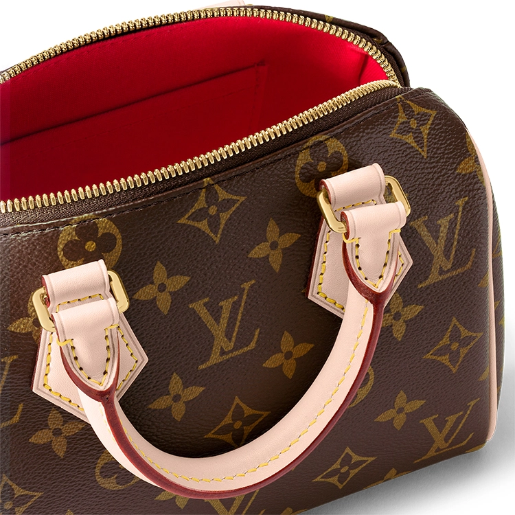 LOUIS VUITTON Speedy 20