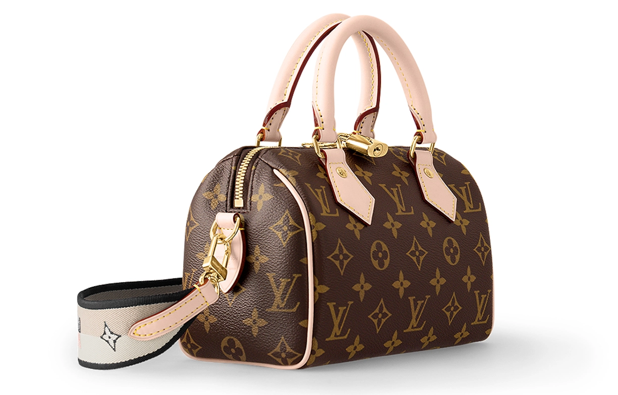 LOUIS VUITTON Speedy 20