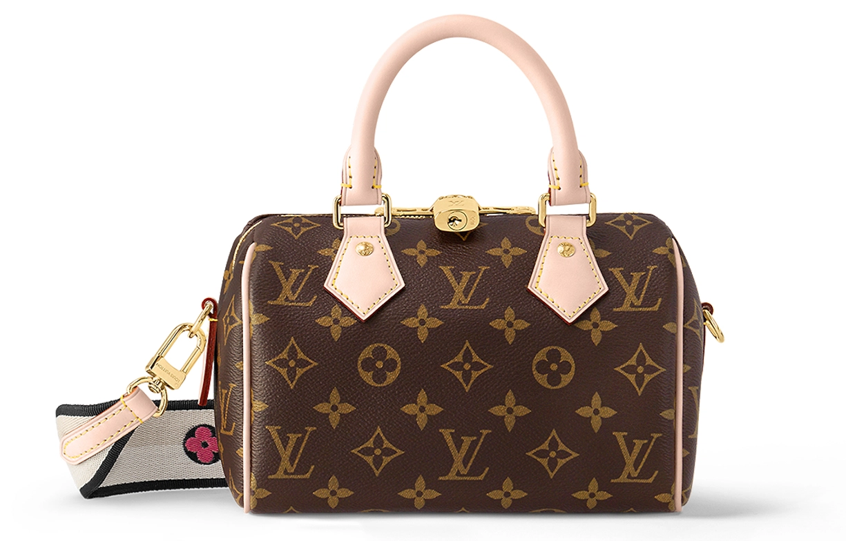 LOUIS VUITTON Speedy 20