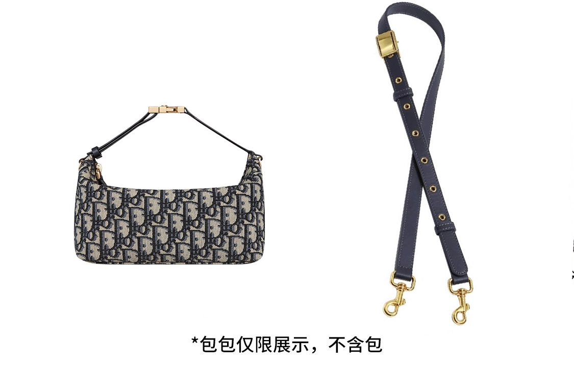 DIOR oblique