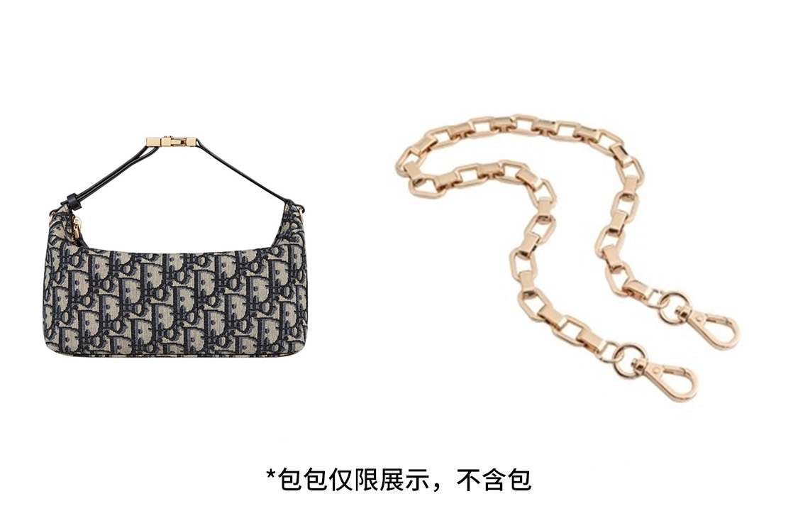 DIOR oblique