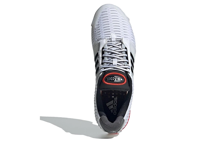 adidas originals Climacool