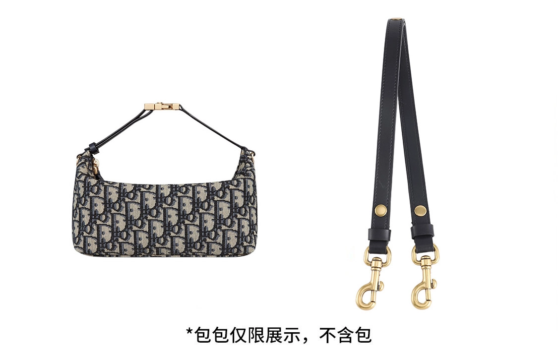 DIOR oblique