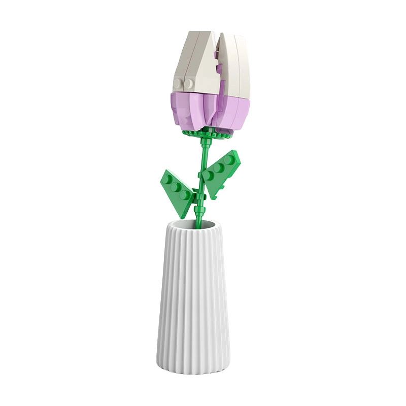 SNAEN diy 123-685