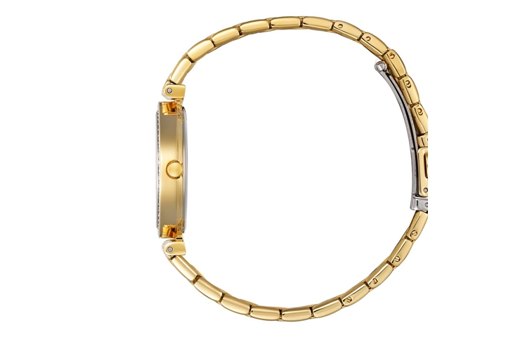 CITIZEN ER0212-50Y