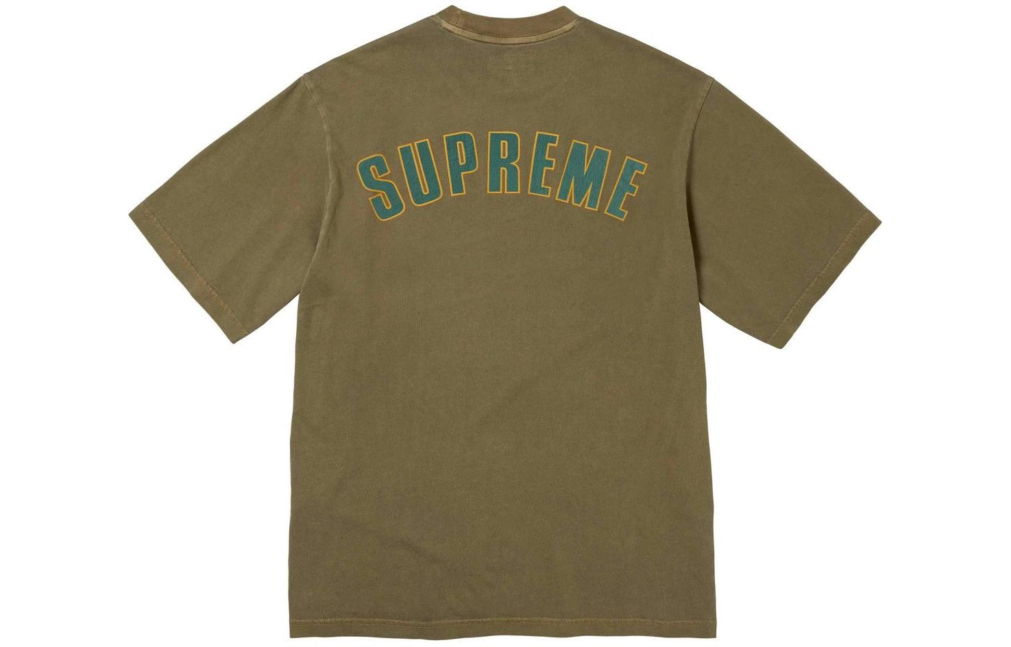 Supreme SS24 WEEK3 CRACKED ARC SS TOP T