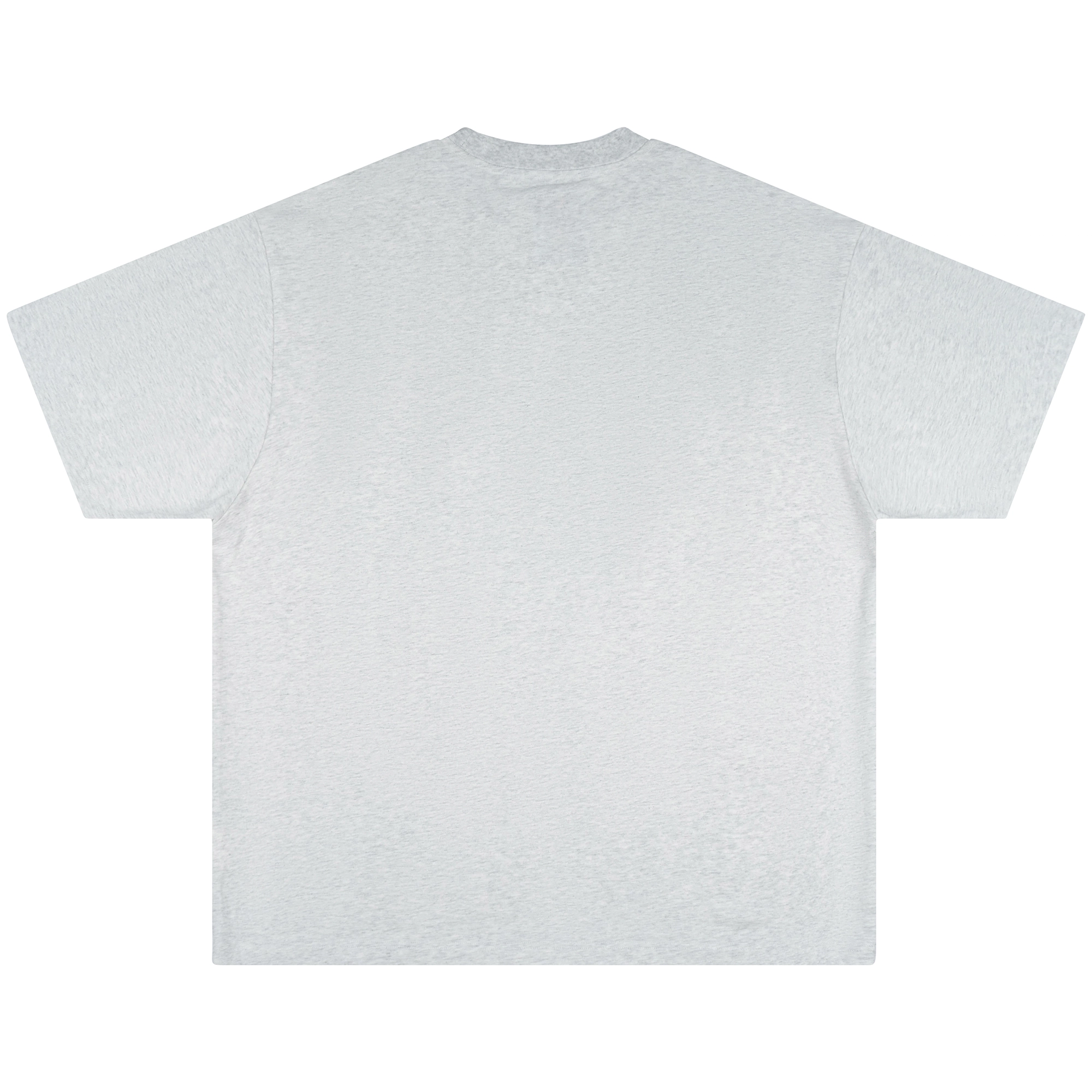 FEAROM T