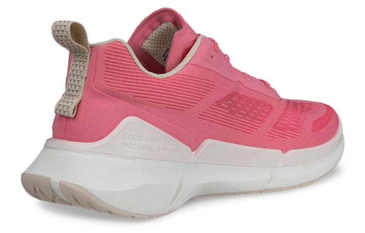 ecco 2.2