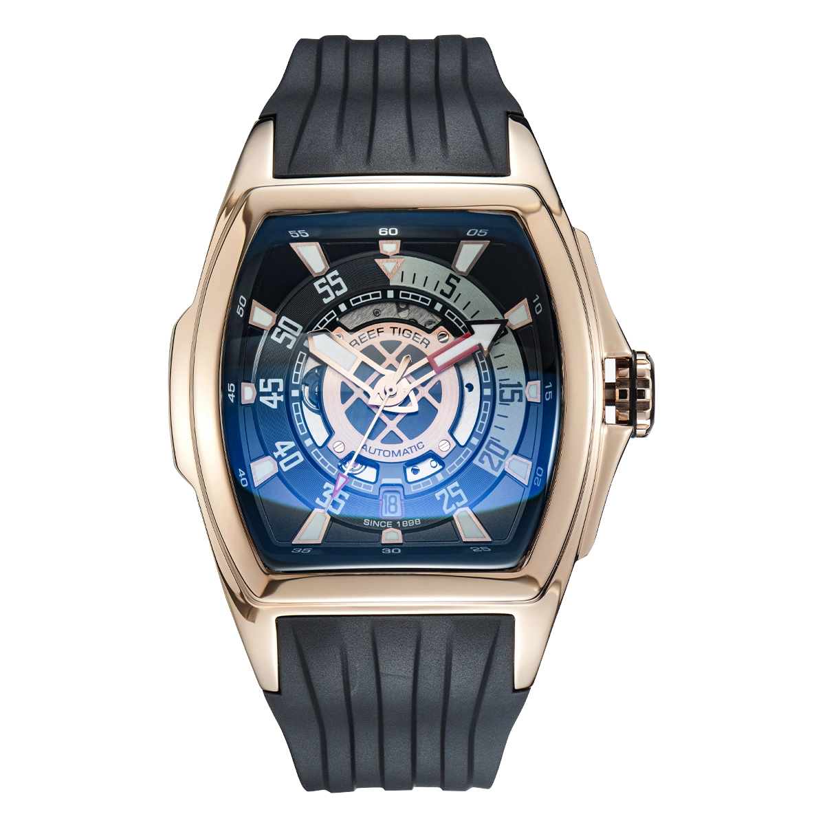 REEF TIGER RGA3061