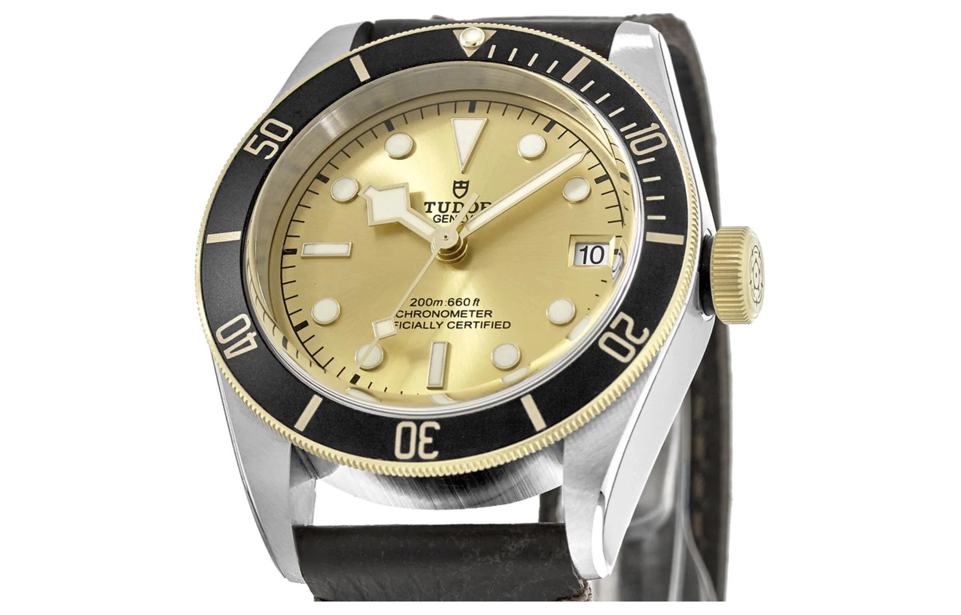 TUDOR 41mm M79733N-0003