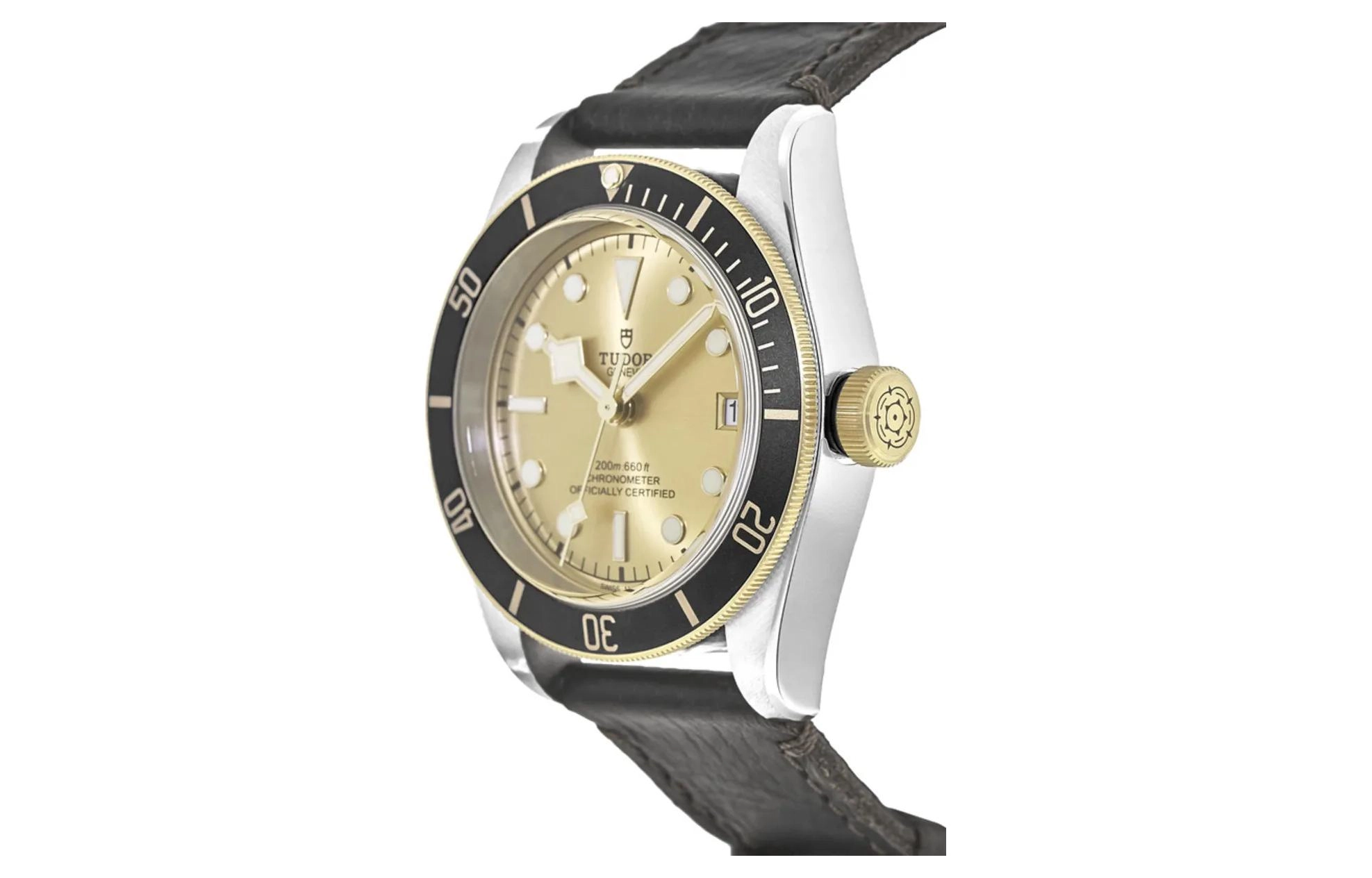 TUDOR 41mm M79733N-0003